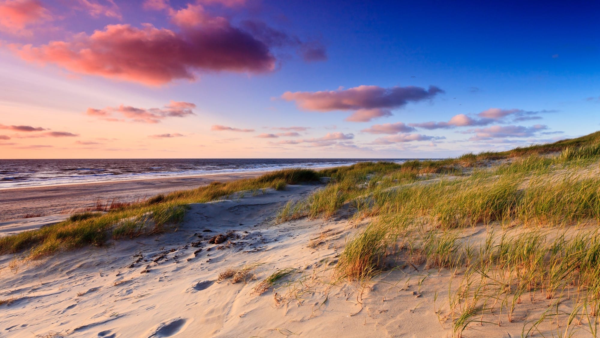 Knit the Landscape, a New Knitting Retreat in the Netherlands