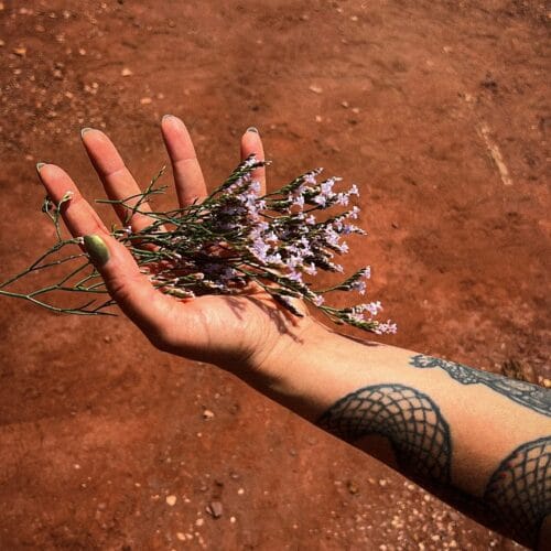 Clara Rêgo holds a sprig of sea lavender over red earth